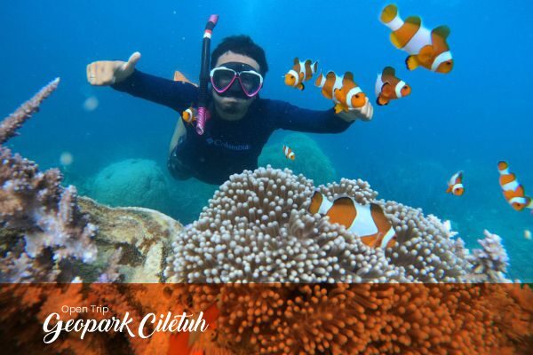 Layanan Snorkeling